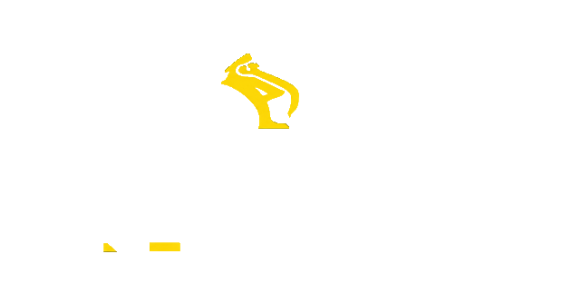 NT FAIRING